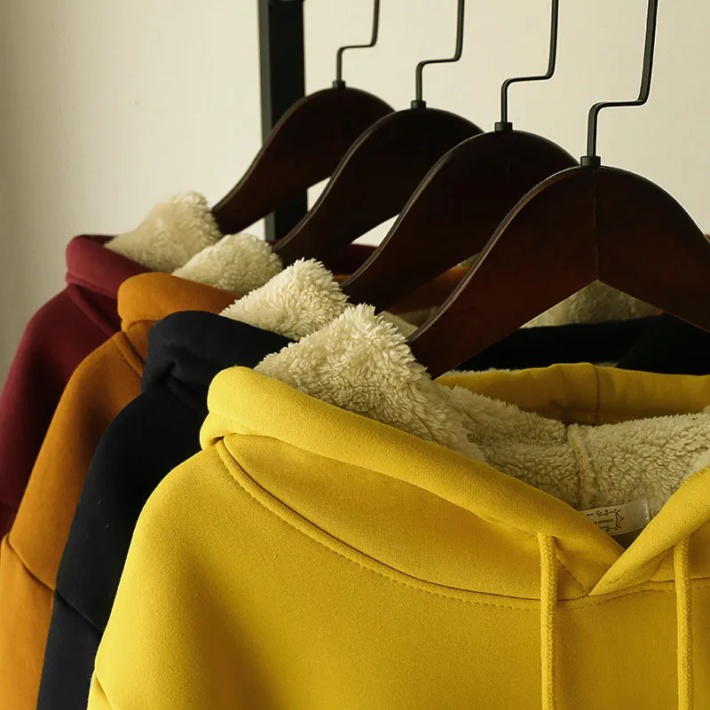 Quelle couleur de sweat à capuche est la plus attrayante ?