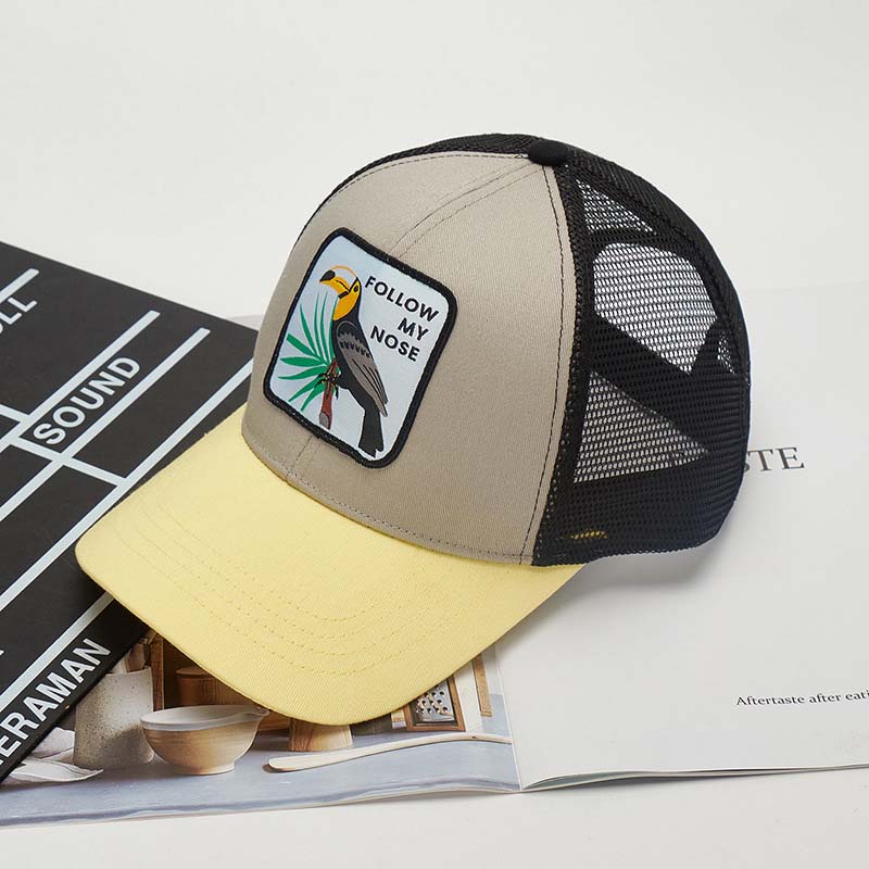 Chapeau de camionneur de mélange de couleurs